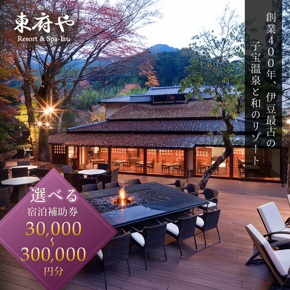 【ふるさと納税】 東府や 宿泊補助券 (選べる 30,000円分/50,000円分/100,000円分/150,000円分/200,000円分/250,000円分/300,000円分) / 吉奈温泉 和 リゾート 温泉 宿 ホテル 旅館 老舗 高級 贅沢 補助券 商品券 チケット クーポン 旅行 東海 静岡 伊豆 izu [10-017]