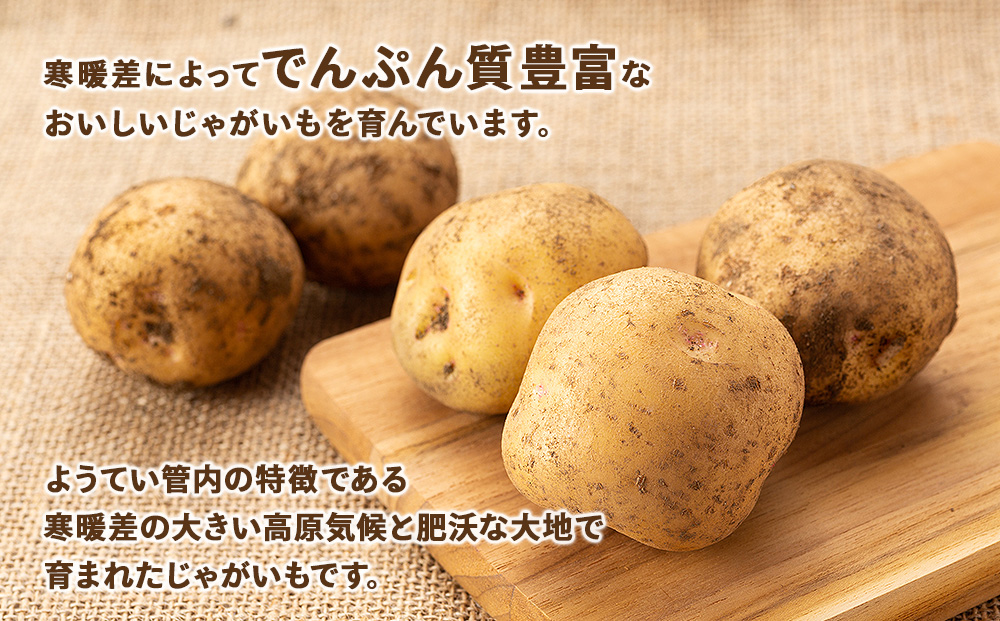 【2026年秋発送 先行予約】じゃがいも 馬鈴薯（男爵）Ｌサイズ 10kｇ＜JAようてい＞