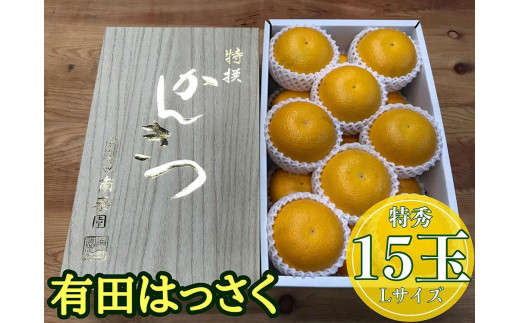 
                  化粧箱 手詰め 有田 はっさく 特秀 L サイズ × 15玉入 2段詰 南泰園 みかん
                