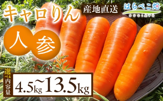 
                  《選べる容量》人参『キャロりん』（4.5kg/箱）・H108-SKU
                