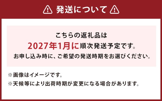【2027年1月発送】「ゆうべに」250g×4パック いちご イチゴ 苺 フルーツ 果物