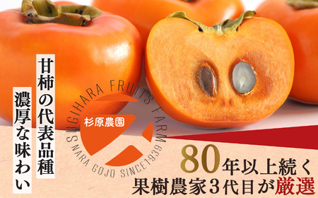 貯蔵富有柿 12 個～14 個 L～2L サイズ