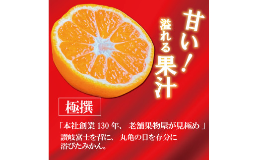 【2026年11月上旬より順次発送】【極撰】温州みかん 約 5kg フルーツ 果物 柑橘 柑橘類 デザート おやつ 旬 産地直送 冬の味覚 旬の果物 旬のフルーツ お取り寄せ 取り寄せ 送料無料 みか
