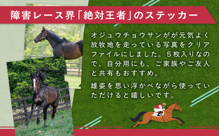 【オジュウチョウサン】クリアファイル（写真）5枚入り BRTV019