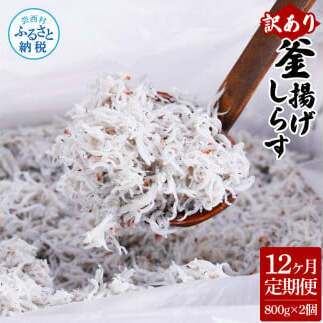 t205mmk　〈12ヶ月定期便〉訳あり 釜揚げシラス 800g×2個 定期便 定期コース 12ヶ月 しらす シラス 釜揚げ 新鮮 塩分控えめ 離乳食 わけあり ワケあり 不揃い しらす丼 海鮮丼 お