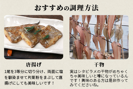 【ふるなび限定】【下処理済で簡単調理】有明海産 シタビラメ約150g×8尾【合計約1.2kg】煮つけ・唐揚げにおススメ【脂ののって美味しい】鮮度抜群 D-178 FN-Limited