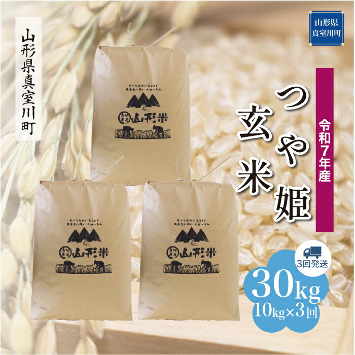 【ふるさと納税】 令和7年産 真室川町厳選 つや姫 ［玄米］ 30kg 定期便（10kg×3回お届け）