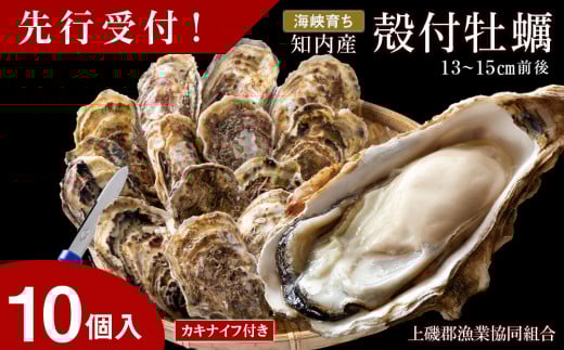 【2025年3月中旬以降発送】海峡育ち 殻付き牡蠣 10個入り カキナイフ付＜上磯郡漁業協同組合＞ 生牡蠣 かき カキ 貝 海鮮 BBQ 鍋 ギフト