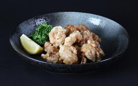 からあげ幸力の大分唐揚げ１キロ（しお味）＜057-009_5＞