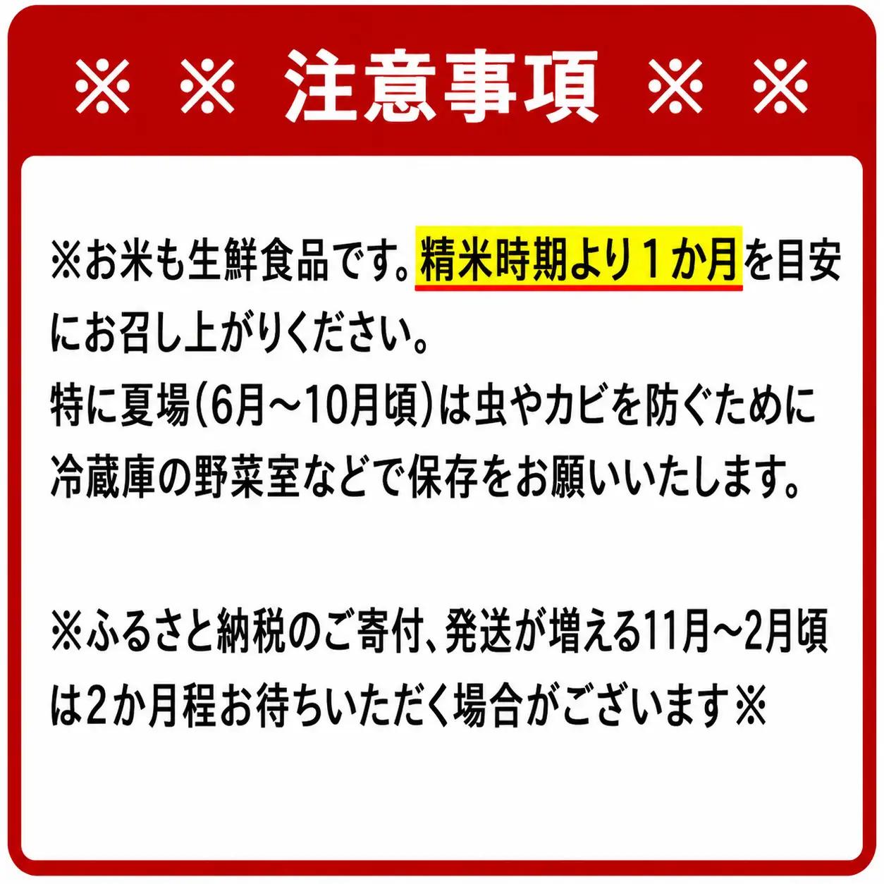 さがびより 無洗米 6kg×3回 真空パック