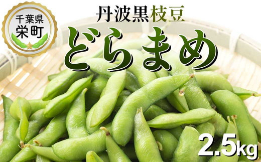 栄町の特産品　どらまめ枝豆2.5kg　数量限定　※2025年10月中旬～10月下旬頃に順次発送予定　※沖縄・離島への配送不可｜枝豆 丹波黒 黒大豆 黒豆 期間限定 人気 高級 高級品種 国産 健康 美容 13-9
