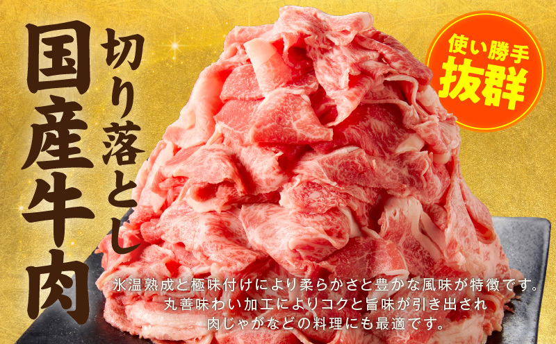 【定期便】国産牛 切り落とし 1.2kg×全2回【氷温熟成×極味付け 小分け 300g×4P 国産 牛肉 訳あり サイズ不揃い カレー 牛丼 家計応援 2026年1月＆4月発送】 mrzZ076_イメ