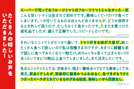【訳あり】スパルタ生まれのひみこ 冷凍トマト4kg(2kg×2袋)｜訳あり ひみこ 冷凍ミニトマト 冷凍トマト ミニトマト フルーツトマトトマト トマト トマト GC-33
