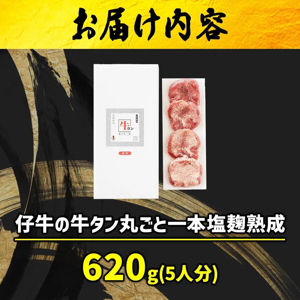 『陣中』 仔牛 の 牛タン 丸ごと一本塩麹熟成 620g 仙台 牛たん屋