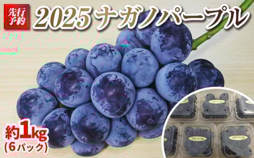 【先行予約】2025　P　ナガノパープル　粒採り6パック　約1キロ　長野県産 【9月下旬頃～順次発送予定】国際特許有機肥料栽培