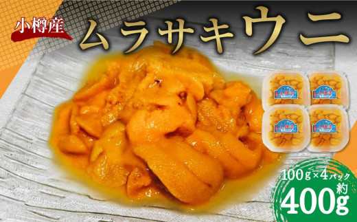 小樽産 ムラサキウニ  塩水生ウニ 100g×4パック 合計約400g うに 雲丹 ウニ 生ウニ 北海道 小樽市 【2027年5月下旬-8月下旬 発送予定】