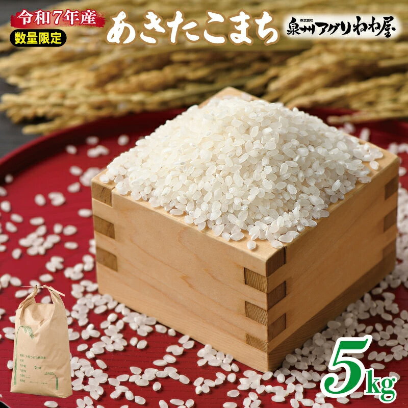 【ふるさと納税】【数量限定】 令和7年産 ねね屋のこだわり米 あきたこまち 5kg 泉佐野産 白米 米 お米 こだわり米 精米 ごはん 白飯 国産 おにぎり お弁当 おかゆ お取り寄せ お取り寄せグルメ 食品 冷蔵 泉佐野市 送料無料