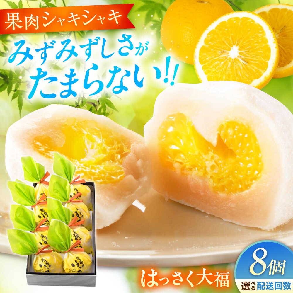 【ふるさと納税】【選べるお届け回数】お菓子 はっさく大福 8個入　お菓子 大福 八朔 柑橘 みかん オレンジ はっさく 餅 ギフト お取り寄せ スイーツ フルーツ大福 ご当地 菓子 おかし デザート 食品 福山市/株式会社虎屋本舗[BADH021]