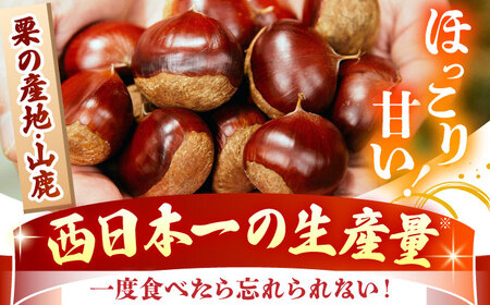 先行予約 やまが和栗 大粒むき栗 約600g（約150g×4pc）古川農園 くり 栗[ZES001]
