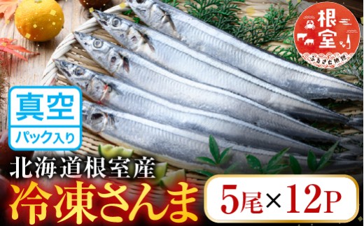 D-36002 【北海道根室産】冷凍さんま60尾