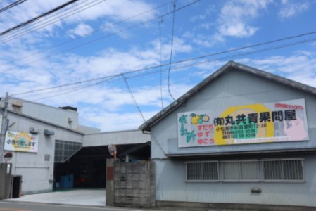 お酢 すだち 生酢 180ml × 5本 セット 天然 果汁 100% 100パーセント 無添加 小瓶 調味料 料理 食品 ビネガー 柑橘