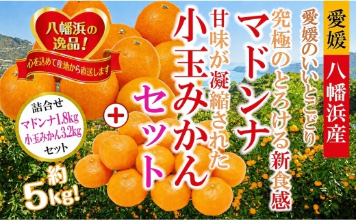 2026年11月発送開始　ぷるぷる新食感!「マドンナ」+濃厚!「小玉みかん」約5kg＜D39-32＞【1252242】 YWTF014