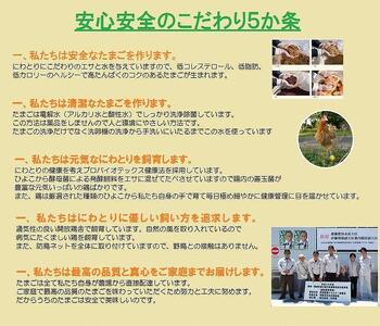 【3か月定期便】日本三大地鶏！！ 「純系　名古屋コーチンの卵」（30個）　本当に美味しい食べ物は調味料の味に負けません！ // 定期便 3か月定期便 【卵 たまご 玉子 卵かけご飯 名古屋コーチン 卵