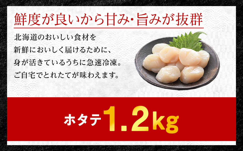 【厳選品】ホタテ 貝柱 1.2kg