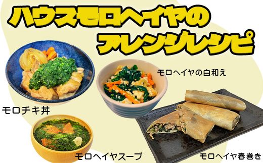 『先行予約』【12月上旬より順次発送】冬穫れハウスモロヘイヤ(100g×5袋)とアイスプラント(70g×5P)セット ネバネバ 高栄養価 プチプチ 新体験 定番おひたし 和洋中の各種スープ お肉・お魚