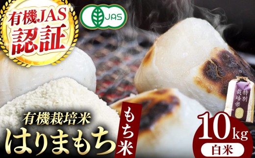 【有機JAS認証米】『タガメの里・自然米』2026年産 もち米「はりまもち」白米10kg | お米 おこめ 米 コメ こめ はりまもち 白米 有機JAS認証米 兵庫県 上郡町