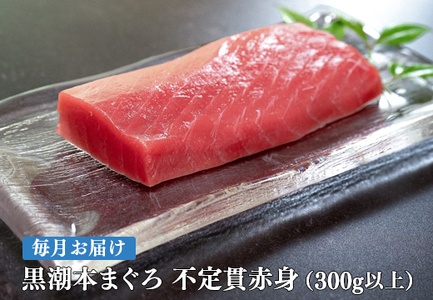 【定期便 12回】高知県産 本マグロ 赤身 養殖 2柵 300g (不定貫)