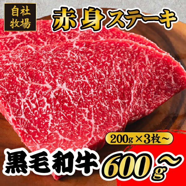 【ふるさと納税】【自社牧場和牛】小林市産 黒毛和牛 赤身ステーキ（牛肉 国産牛 黒毛和牛 和牛 赤身 ステーキ）
