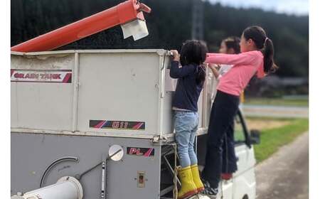 【玄米】〈減農薬〉秋田県由利本荘市産 ササニシキ 20kg(5kg×4袋) 令和5年産 新鮮パック 低農薬 低農薬