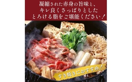 栃木県産那須の後藤牛　切り落とし 牛肉 国産 冷凍 那須町 〔C-45〕