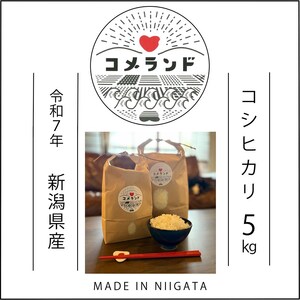 【4月下旬発送】令和7年産 上越市産 コシヒカリ 5kg 5キロ 精米 新潟県 上越市 板倉区 コメランド こしひかり 限定 おすすめ 米 コメ