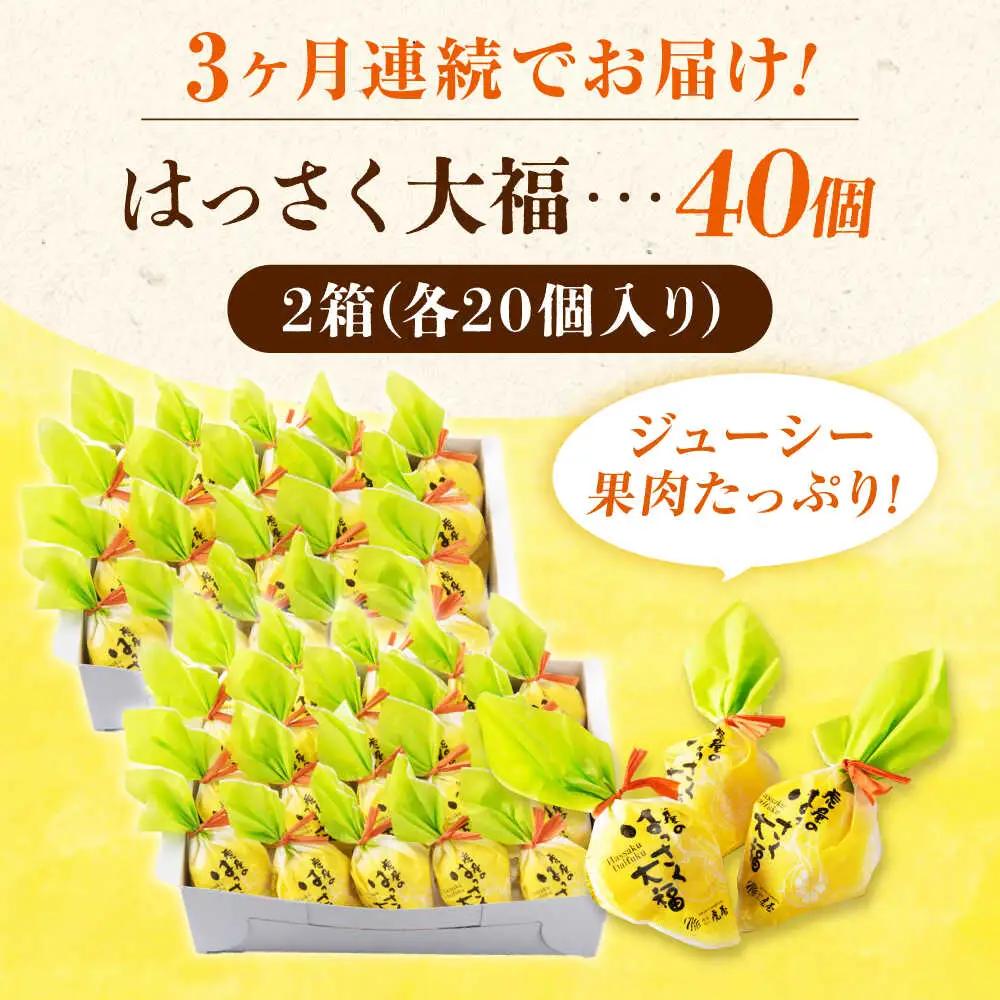 【3回定期便】はっさく大福20個入×2 [BADH034]大福