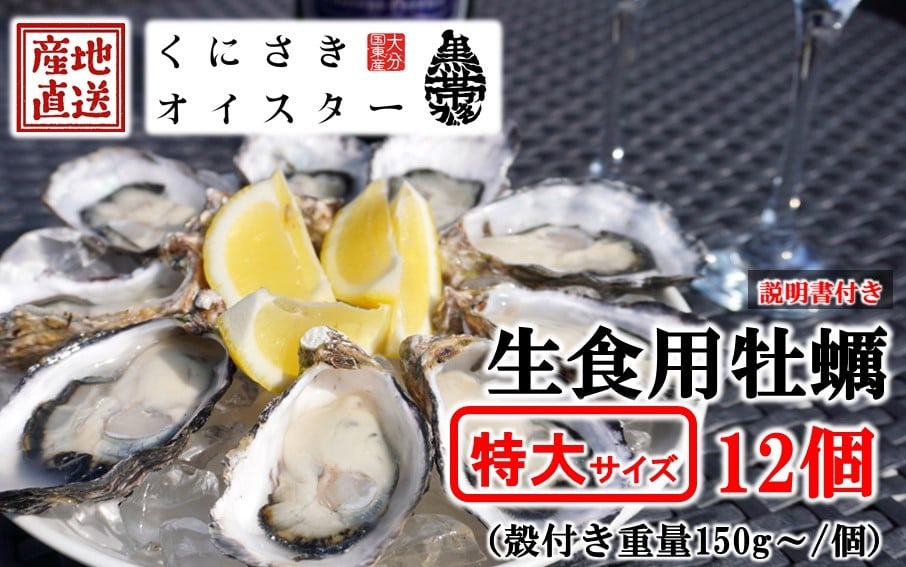 
            牡蠣 生食用 殻付き くにさきオイスター 特大サイズ12個（殻付き重量150g～/個）　牡蠣ナイフ カキ oyster 生牡蠣_2361R
          