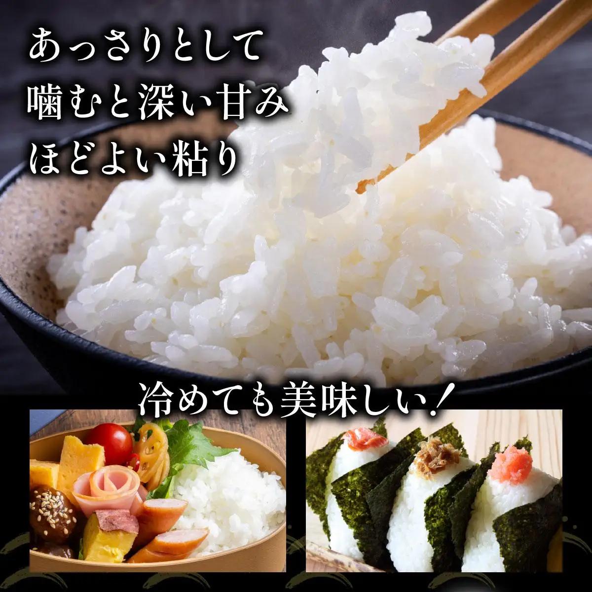令和7年産 岩見沢産 ななつぼし 10kg (5kg×2) 精米 | 北海道岩見沢産 ななつぼし 精米 10kg 白米 米 お米 ご飯 ごはん 北海道 岩見沢市