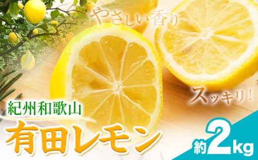 紀州和歌山 有田レモン 約2kg 有田マルシェ《2026年9月下旬-2027年2月下旬頃発送予定》 和歌山県 日高町 れもん 檸檬 フルーツ ギフト 送料無料