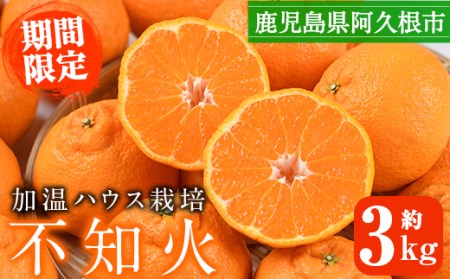 ＜先行予約受付中！2025年12月上旬以降順次発送予定＞数量限定！鹿児島県産加温ハウス栽培の不知火「大将季」(計約3kg) 旬 フルーツ 果物 柑橘 みかん【三笠農業生産】akn051-07