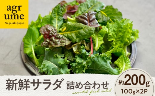 水耕栽培 新鮮サラダ野菜の詰め合わせセット 約100g×2袋 長与町/アグリューム [EAI128] 新鮮 野菜 サラダ さらだ セット 詰め合わせ