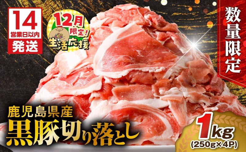 
            【7営業日以内に発送】【数量限定】鹿児島県産 黒豚切り落とし 1kg　K025-001_02
          