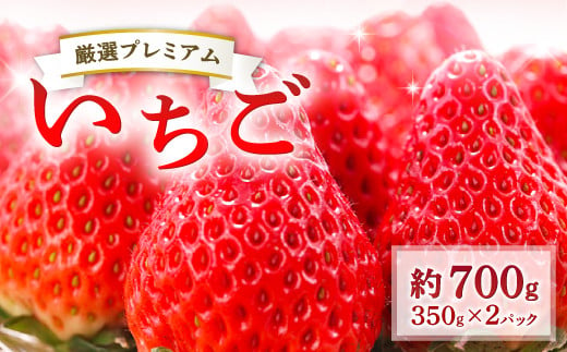 
            厳選プレミアム いちご（350g×2パック）【先行予約 いちご 果物 フルーツ 苺 イチゴ 350g×2パック 厳選 プレミアム 冷蔵 期間限定 季節限定 早期予約 1月～2月発送】
          