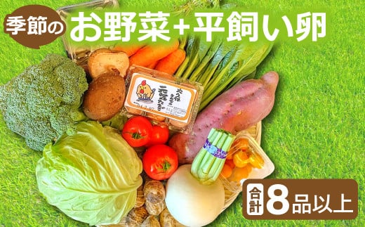 
新鮮！季節のお野菜と平飼い卵のセット（8～10品）【野菜 やさい 旬の野菜 季節の野菜 おまかせ 新鮮 8～10品 卵 たまご 平飼い卵 6個 破損保証 2個 詰め合わせ セット 冷蔵】
