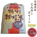 【ふるさと納税】58-3茨城県産ミルキークイーン（玄米）10kg 2週間以内発送 米 健康 お米 白米 精米 人気 おすすめ