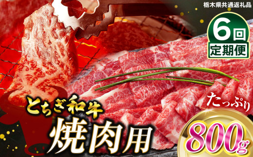 【定期便6回】とちぎ和牛焼肉用 800g | 和牛切り落とし 黒毛和牛 切り落とし 栃木県産黒毛和牛 焼肉 バーベキュー BBQ  肉 牛肉 高級 ご褒美 共通返礼品 ふるさと納税 栃木県 那珂川町 送料無料