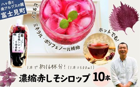 【先行予約】【2026年9月から順次発送】 濃縮 赤紫蘇シロップ ６倍希釈 500ml×１０本 | 紫蘇シロップ 馨工房 