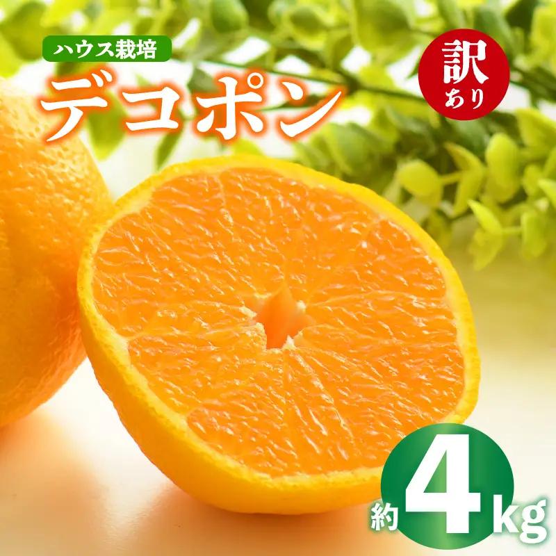 デコポン 不知火 約4kg 2027年 先行予約  訳あり デコポン デコポン デコポン