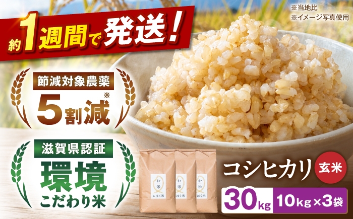 
                  【 令和7年産】こしひかり 玄米 10kg × 3袋 30kg 農家直送 コシヒカリ 米 ご飯 玄米 ごはん おにぎり お弁当 お米 滋賀県 長浜市/株式会社エース物産 [AQAK007]
                