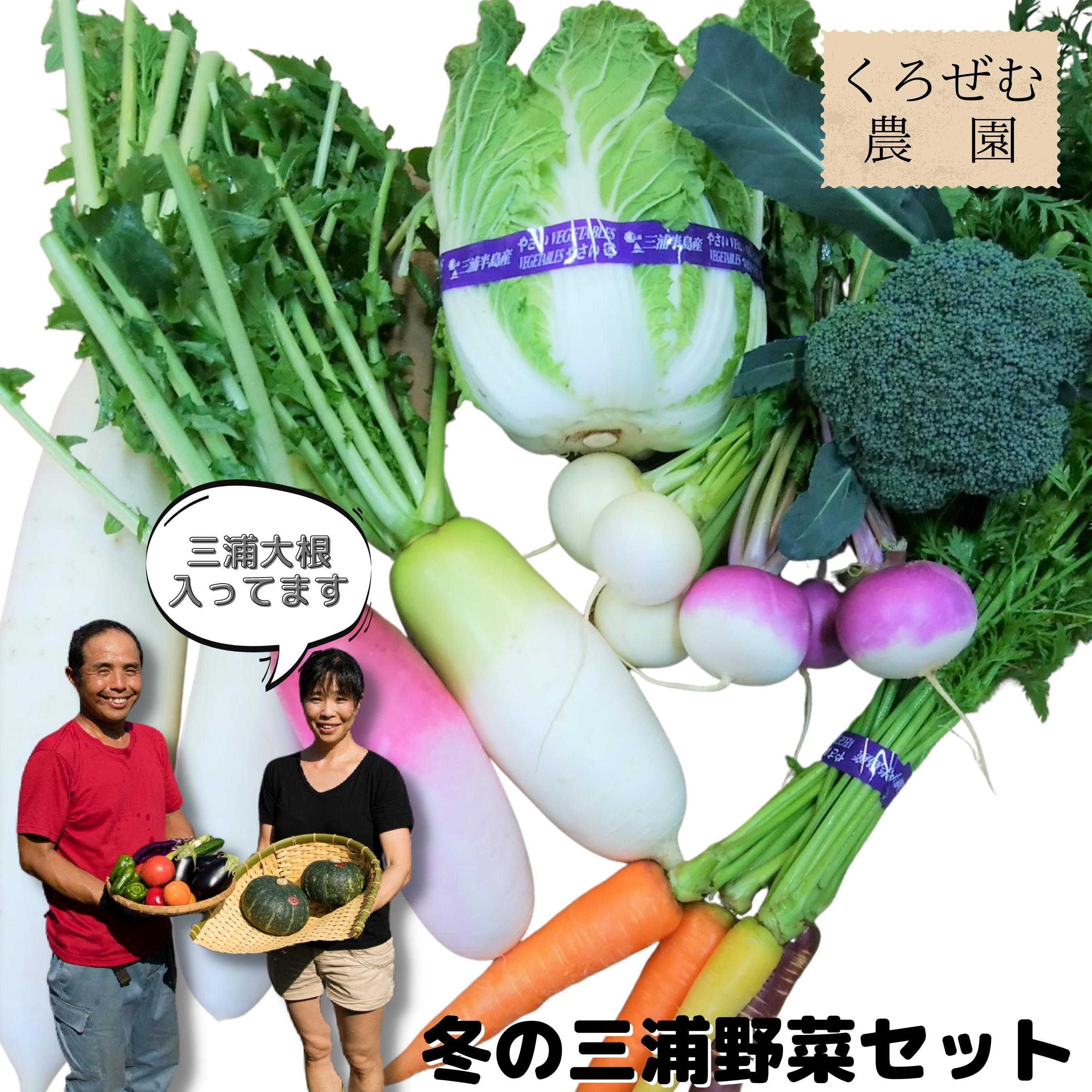 【ふるさと納税】 ボリューム満点 季節の野菜 詰め合わせ （冬） 三浦大根 大根 だいこん 野菜 冬野菜 青首 味一番 白菜 ブロッコリー 人参 カブ ケール ビーツ おいしい 期間限定 三浦野菜 旬のやさい くろぜむ農園 神奈川 三浦市 おすすめ ランキング プレゼント ギフト
